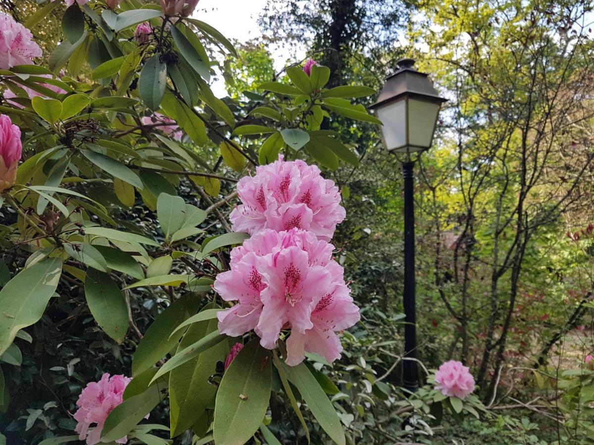 Chateau De La Rose Cluis Esterno foto